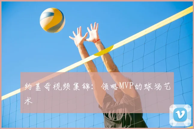 约基奇视频集锦：领略MVP的球场艺术