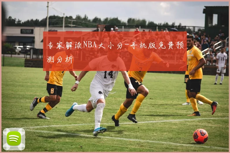 专家解读NBA大小分-手机版免费预测分析