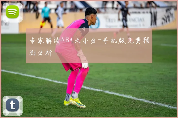 专家解读NBA大小分-手机版免费预测分析